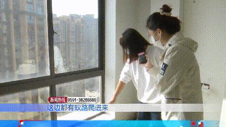 业主室内发现白蚁,小区家家户户都出现了白蚁