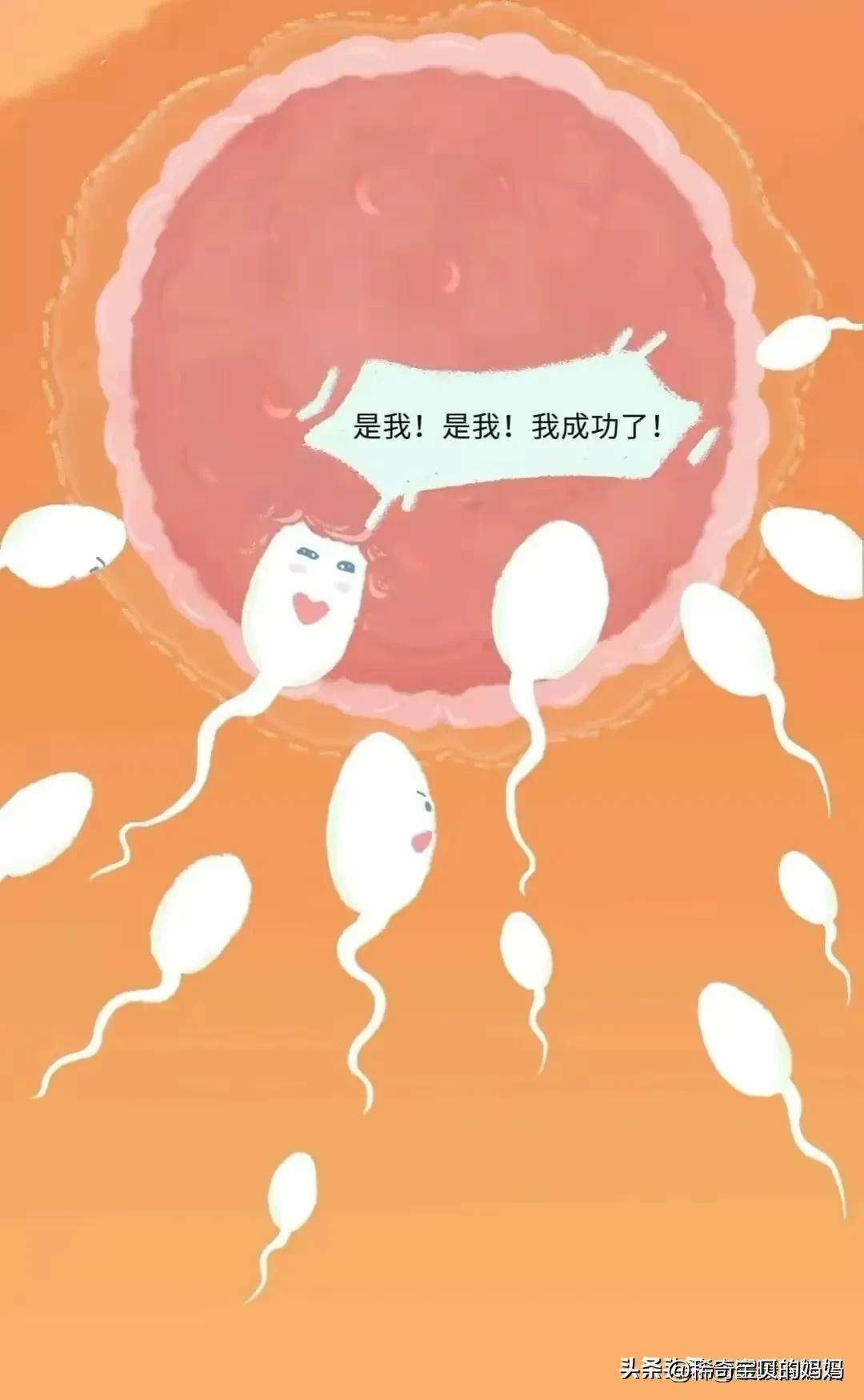 绮惧瓙杩涘叆浜轰綋12灏忔椂鍙樺寲,绮惧瓙杩涘叆浜轰綋24灏忔椂鍙樺寲