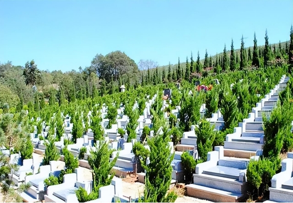 购三代人公墓20年后管理费怎样收,购买了公墓还需要拿管理费吗