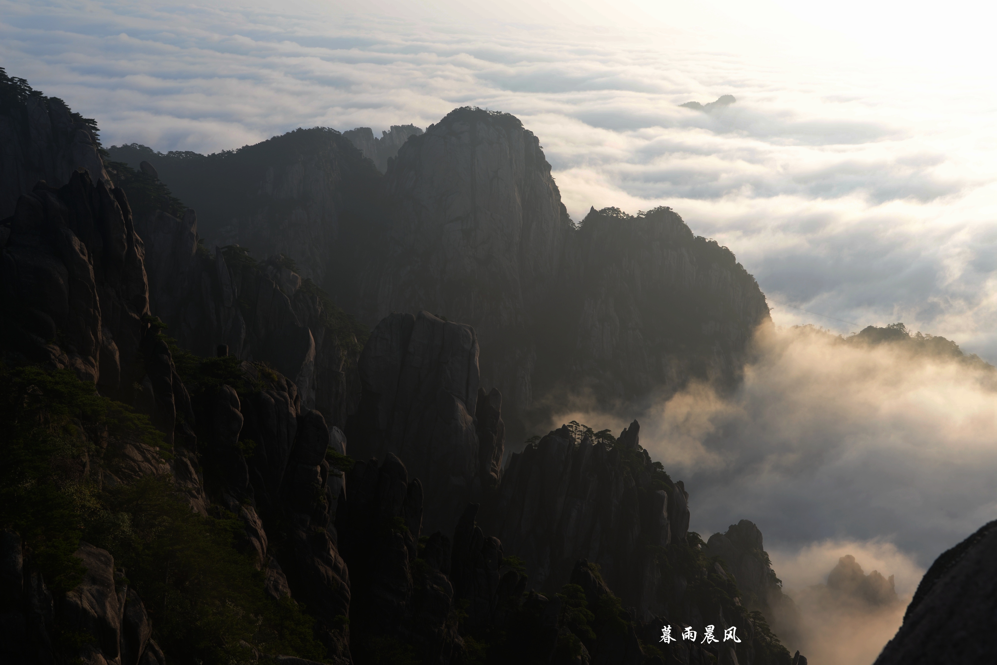 2014年黄山游,2014黄山银毫