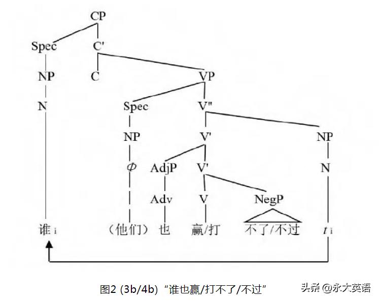 生成语法的发展阶段,生成语法与普遍语法
