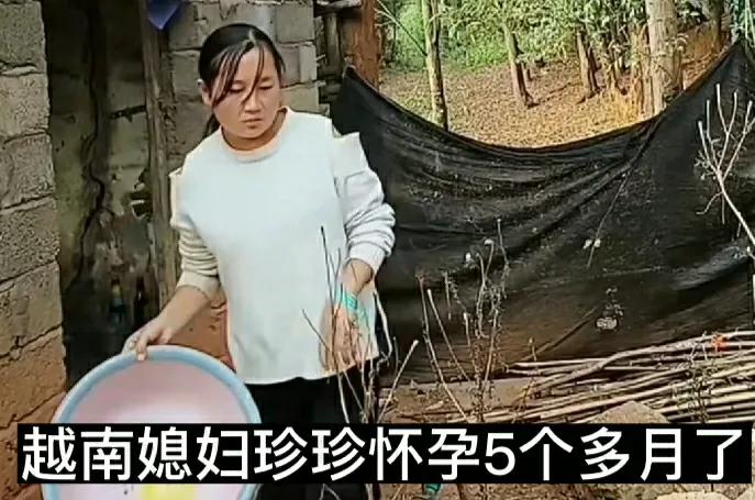 越南女孩珍珍,越南媳妇珍珍