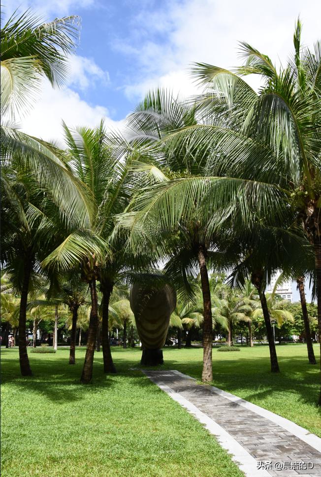 三亚大东海附近游玩推荐,三亚旅游必去景点大东海