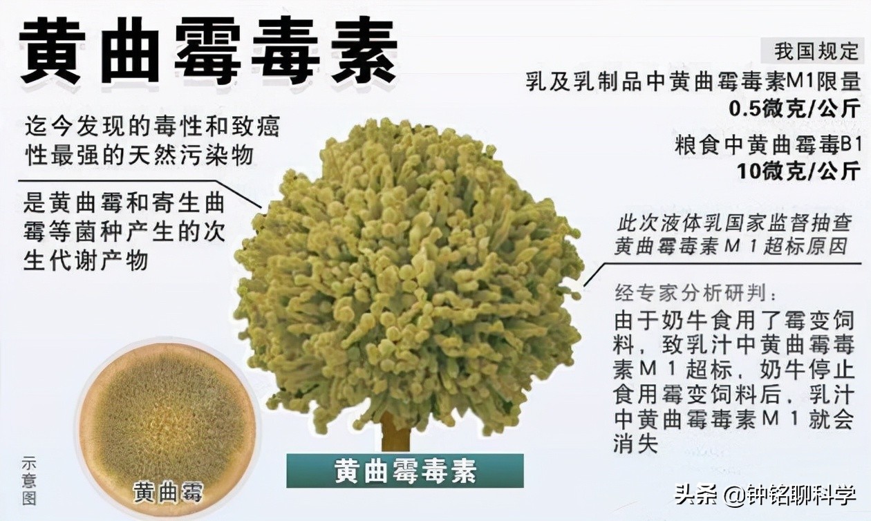 十多年的普洱熟茶还能喝吗有毒吗,普洱茶熟茶15年能喝吗