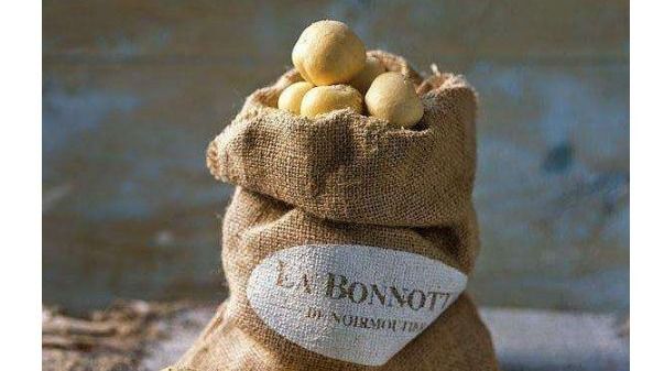 最贵的蔬菜排行榜前十名,市场现在什么蔬菜最贵