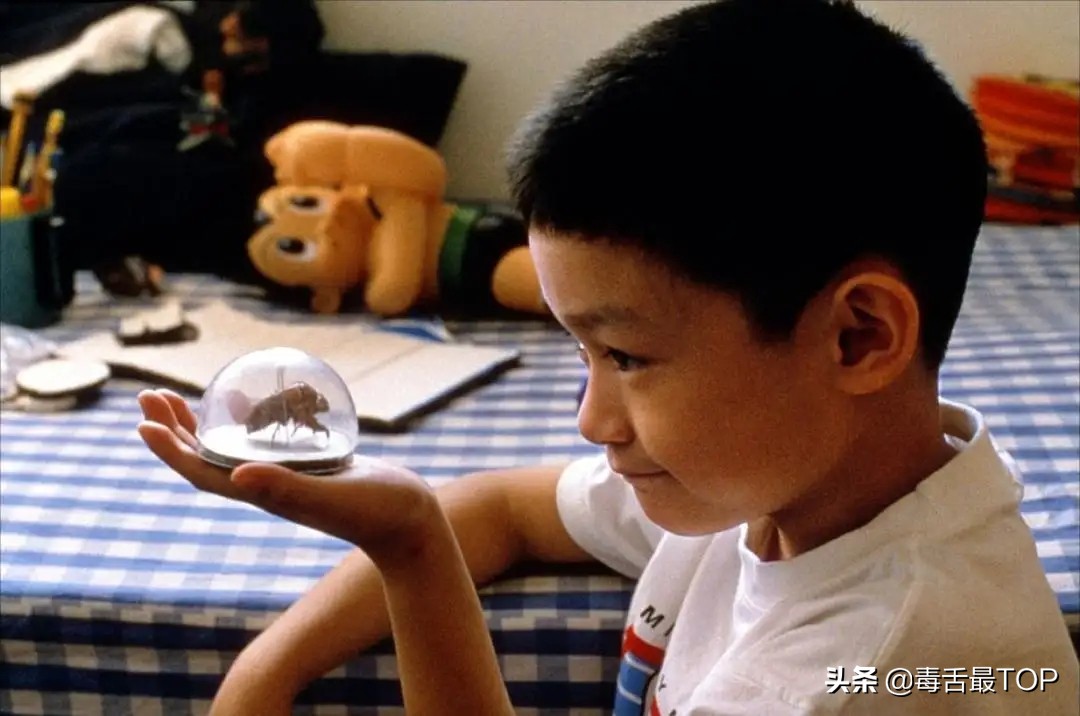 15部高分电视剧,16部经典的电影你都看过几部