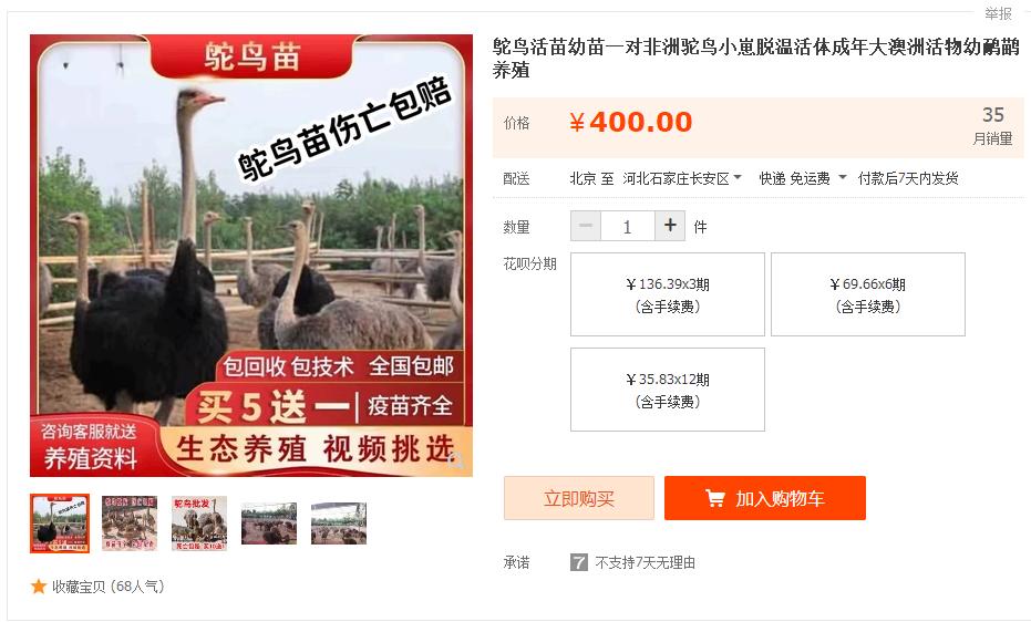 淘宝买动物怎么运输,淘宝买动物怎么评价