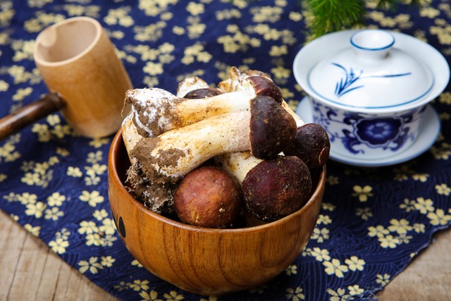 云端之上的机场,云端之上川西