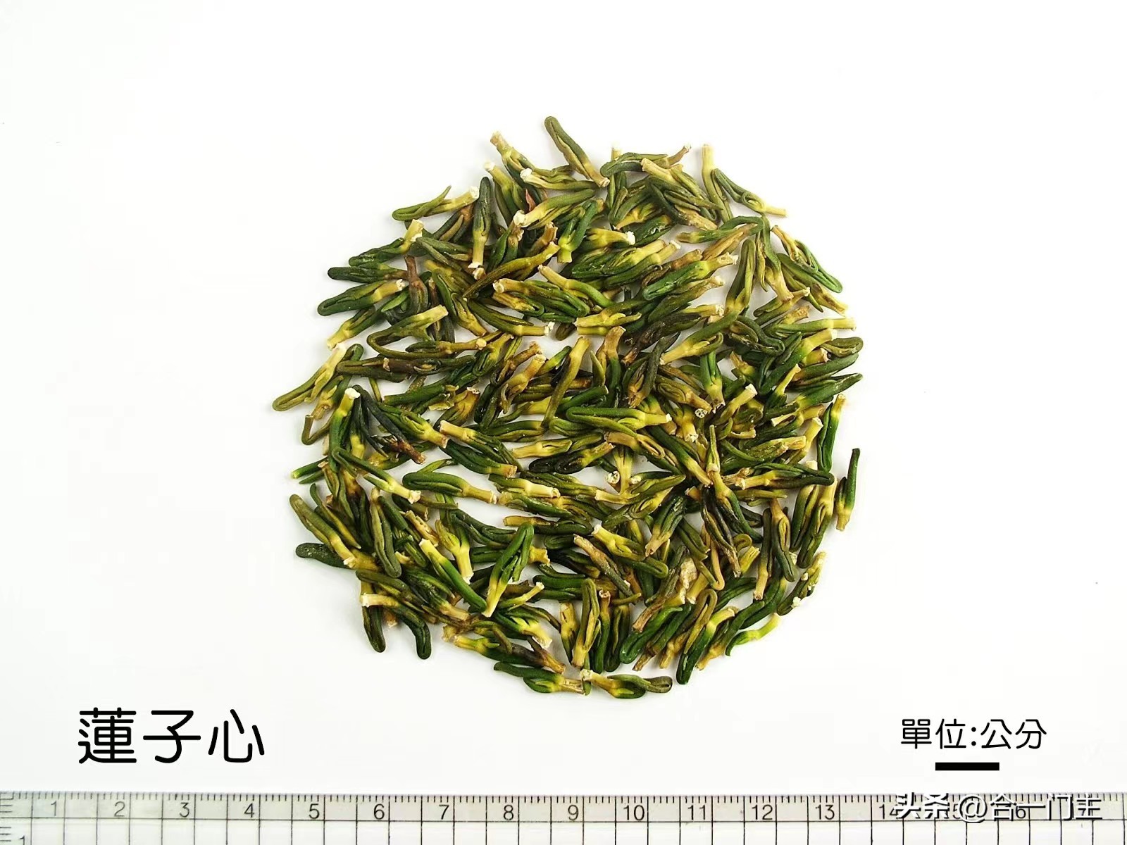 中暑引起的发烧及重度昏迷不醒,中暑了中医急救怎么救