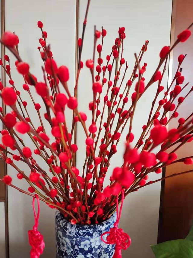 网红干树枝,网红水培干枝树