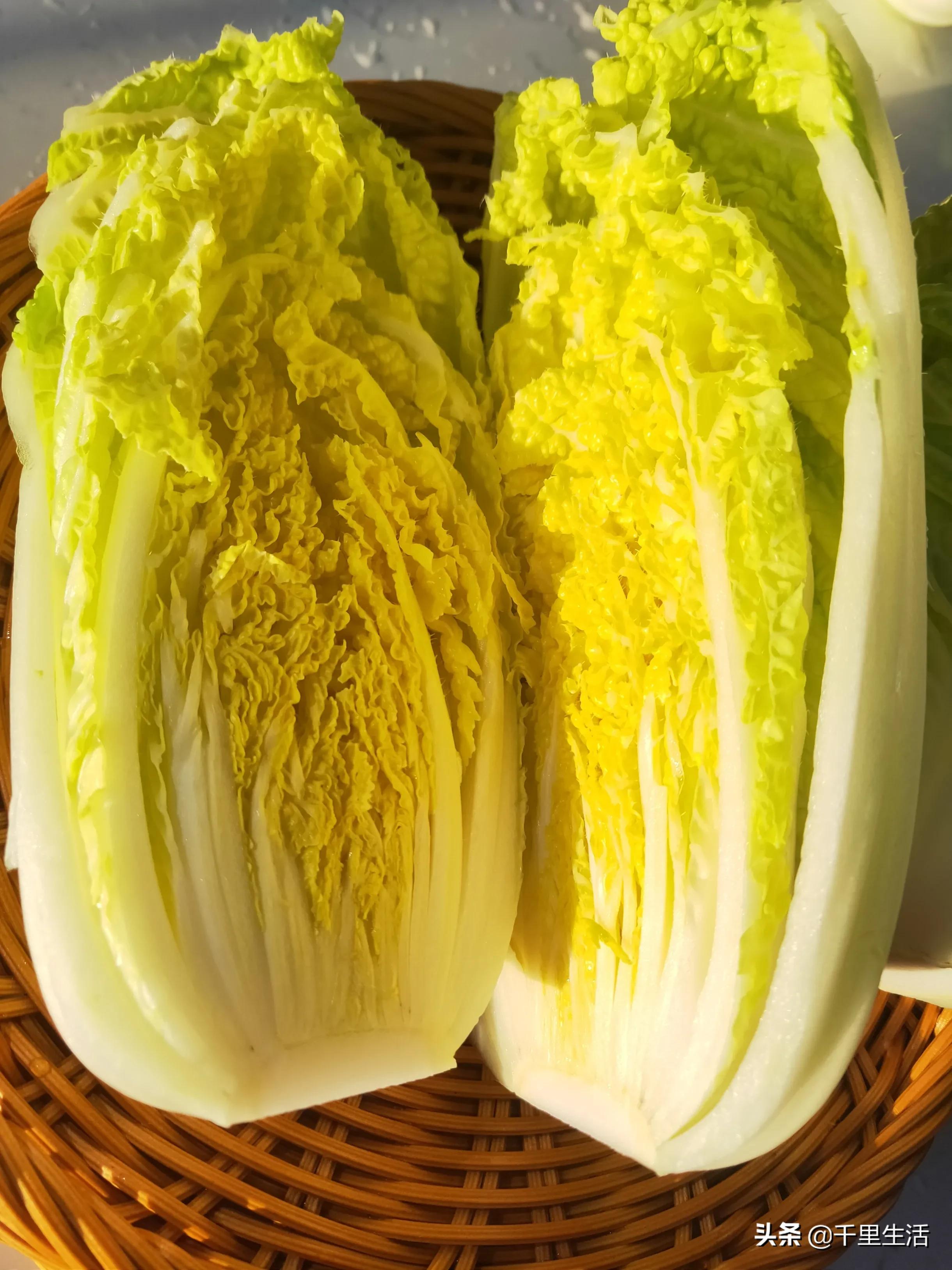 云南高山黄心白菜娃娃菜,云南哪里种娃娃菜