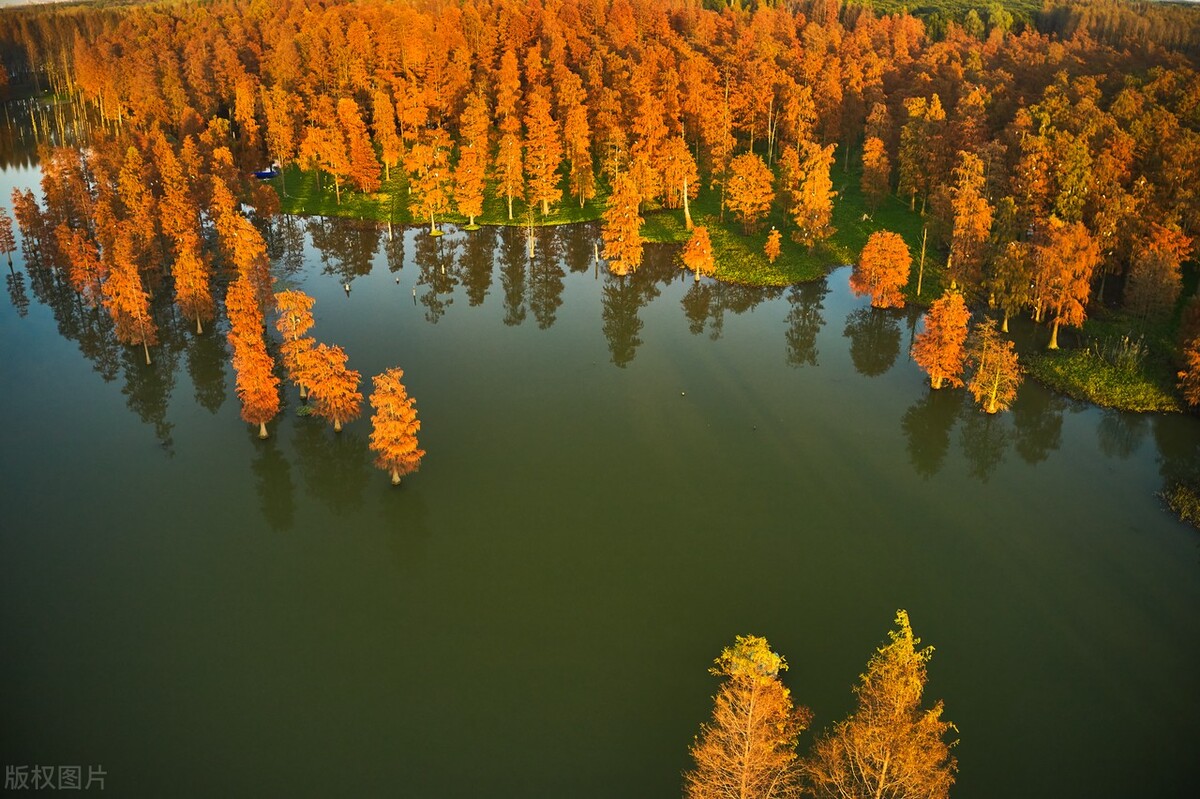 上海游玩免费景点推荐,上海推荐逛的免费景点
