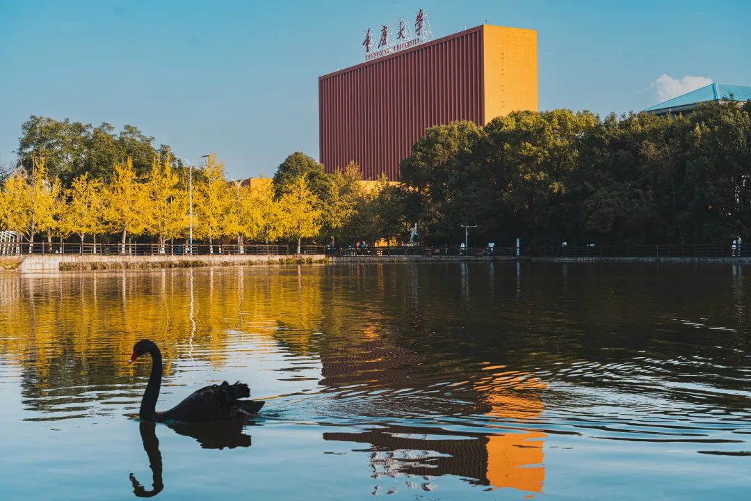 高考顺利！欢迎你来重庆，续写与重大的未来故事