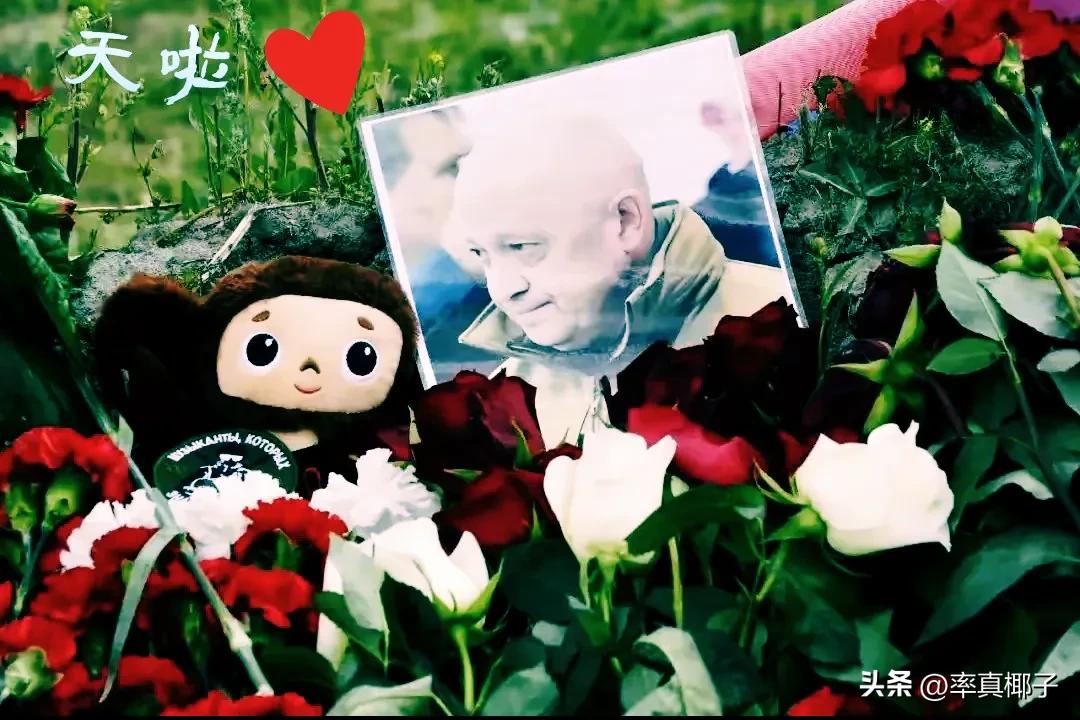 普里戈任值得国人如此伤心吗