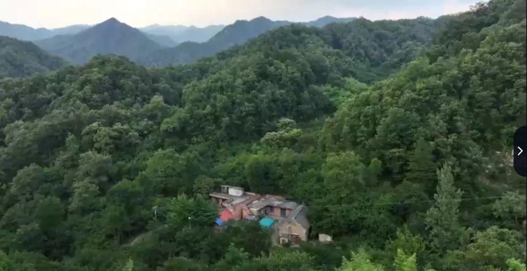 杨佳正面照,三十多年后恋人重逢