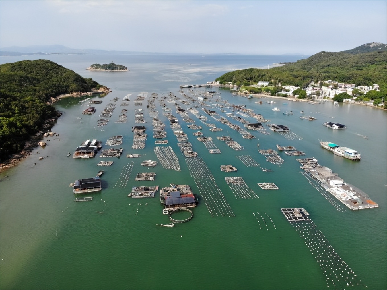 南澳岛旅游攻略最详细介绍,南澳岛怎么玩