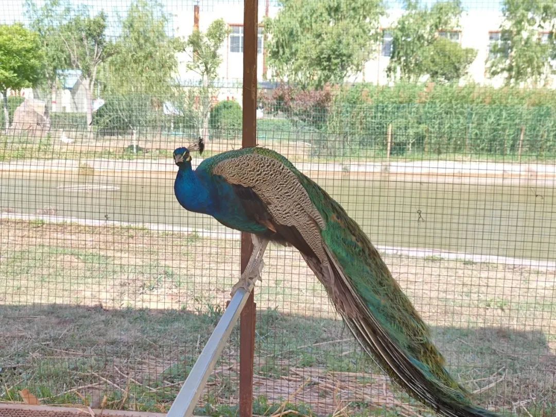 卫辉天瑞水泥质量怎么样,卫辉市天瑞水泥郑州办事处