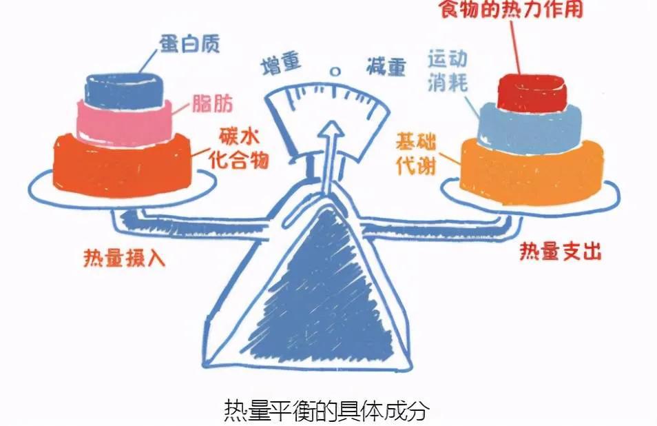 如何减掉肚子上最后的顽固脂肪,如何减腰腹部胯部顽固脂肪