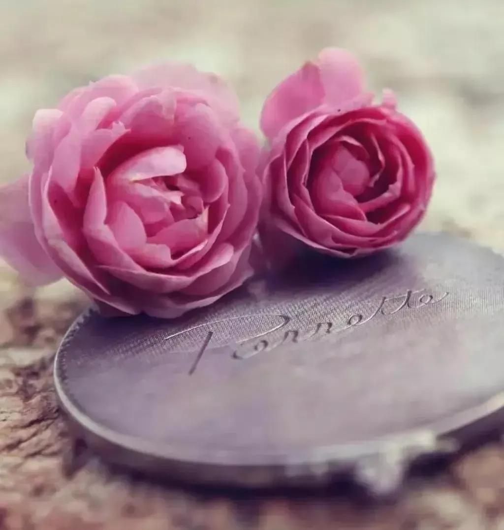 苦萱花·那些在母亲节里，也得不到祝福的母亲