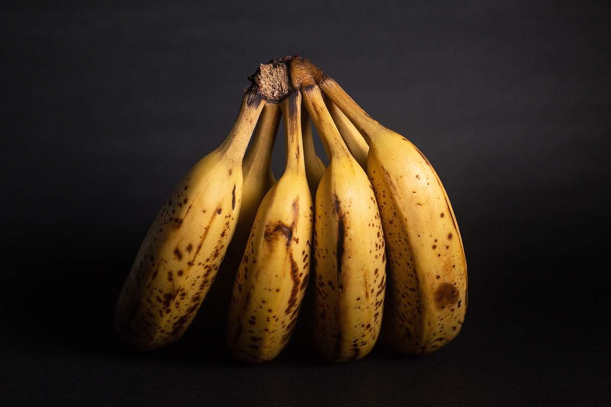 香蕉科普中国,香蕉生活常识大全集