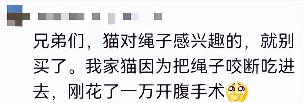 速度扩散，9.9元网红玩具竟成了猫咪的索命凶器？千万别买！