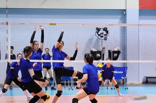 女排18名队员,最新女排大名单分析