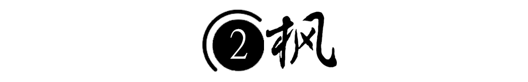08年，河北女孩“瘫痪”卧床20年，姐姐安上监控后，戳穿多年*局骗**