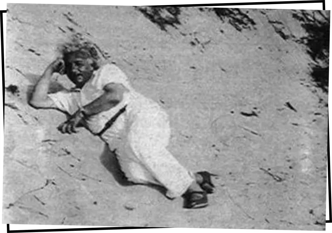 最近很火的大牌鞋子女,今年最时髦的女鞋百丽