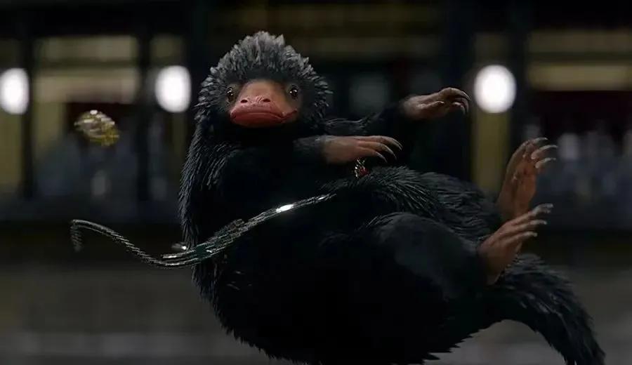 被誉为神作的冷门漫画,超级好看的动物类漫画