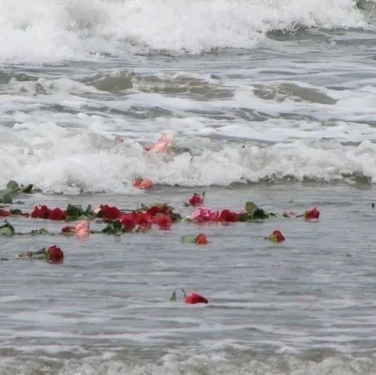 背景图ins风鲜花,ins复古黑色鲜花壁纸