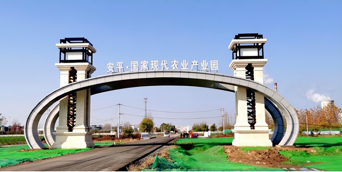 安平农业基地,安平县借力特色种植助推乡村振兴