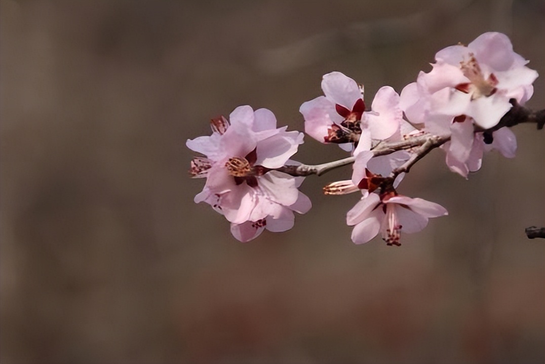 男人不联系你却还背后默默关心你,当一个男人默默关注你但不联系你