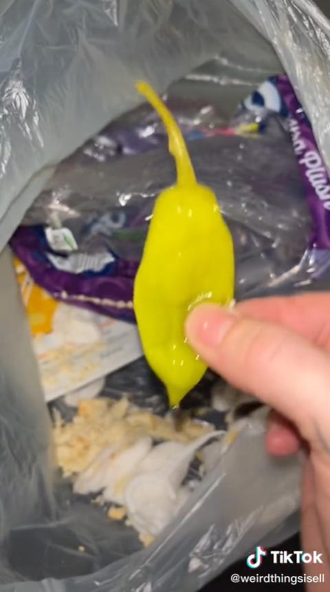 美国女子网售重口垃圾：灰尘脏水，指甲舌苔，真有人高价买？