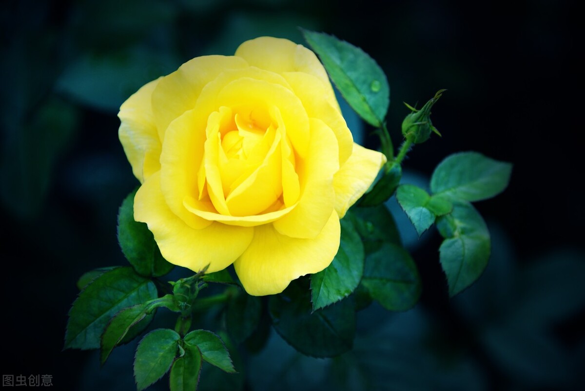 十首诗词最懂夏天的美,夏天最美的七言绝句诗