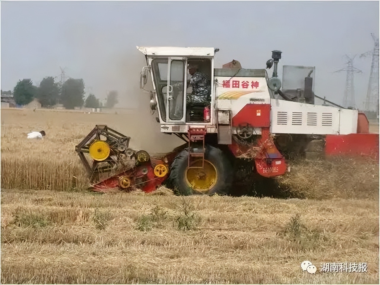 秸秆怎么处理最有销路,秸秆农民犯难怎么处理