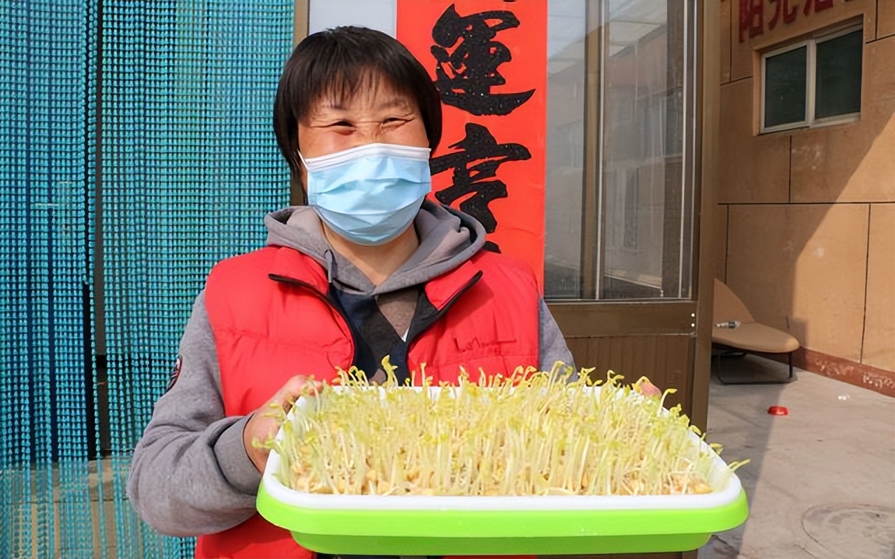 豆芽发苗神器,家用豆芽机发豆芽菜的简单方法