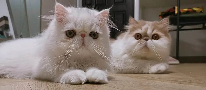 假期搞钱的年轻人,年轻人假期搞钱