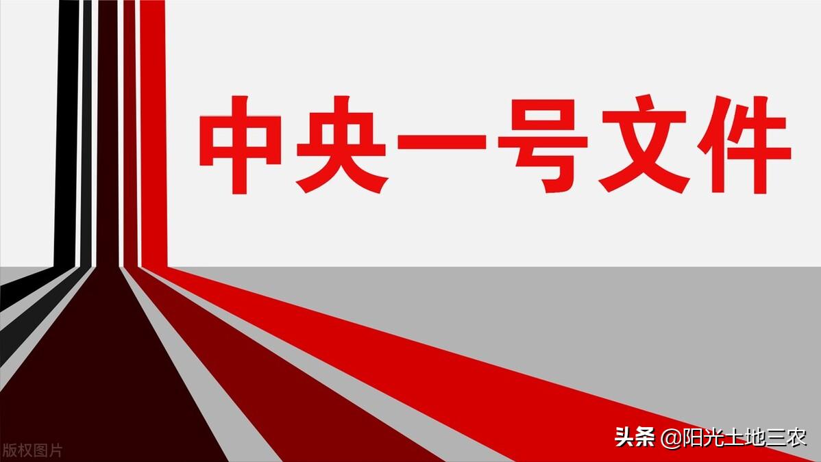 关于2022年乡村振兴的优惠政策,桂东县2022年乡村振兴项目