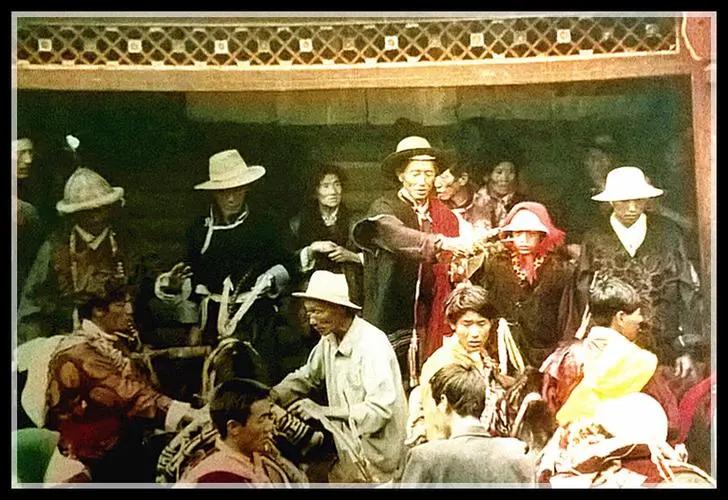 女神纪——女性五万年的辉煌与悲歌