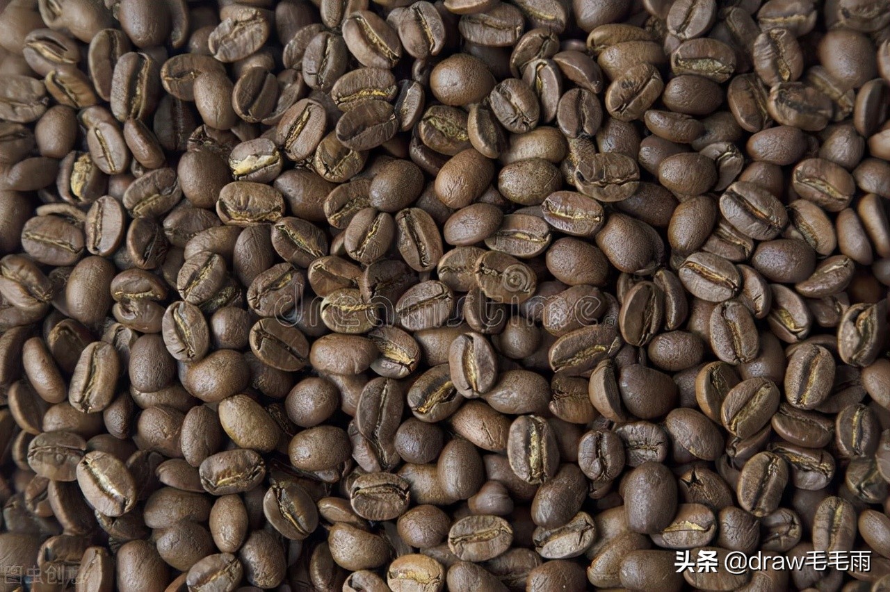 牙买加蓝山咖啡价格,牙买加艺术山蓝山咖啡