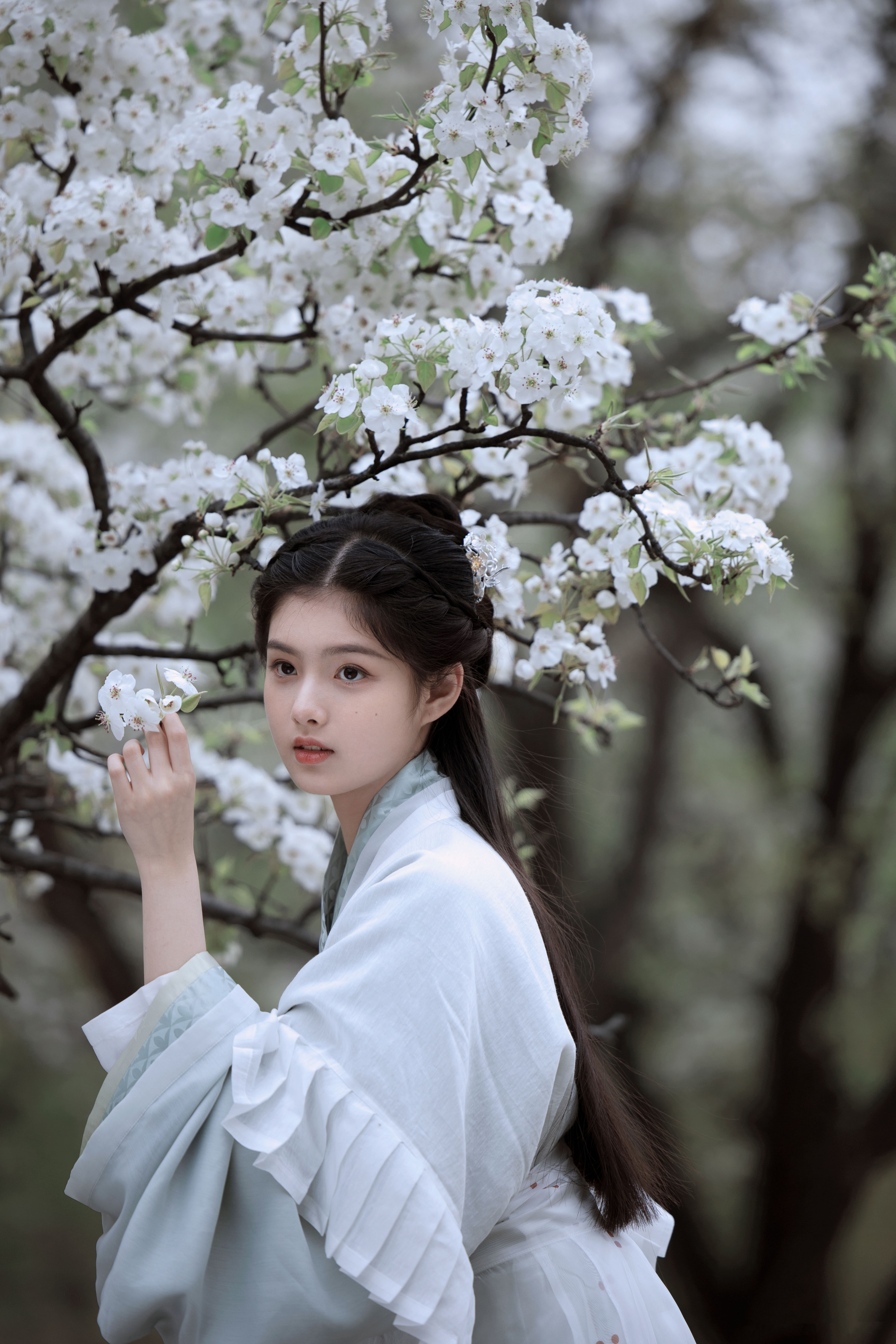 鍥介濡傜敾绯诲垪,鍥介姹夋湇鍐欑湡