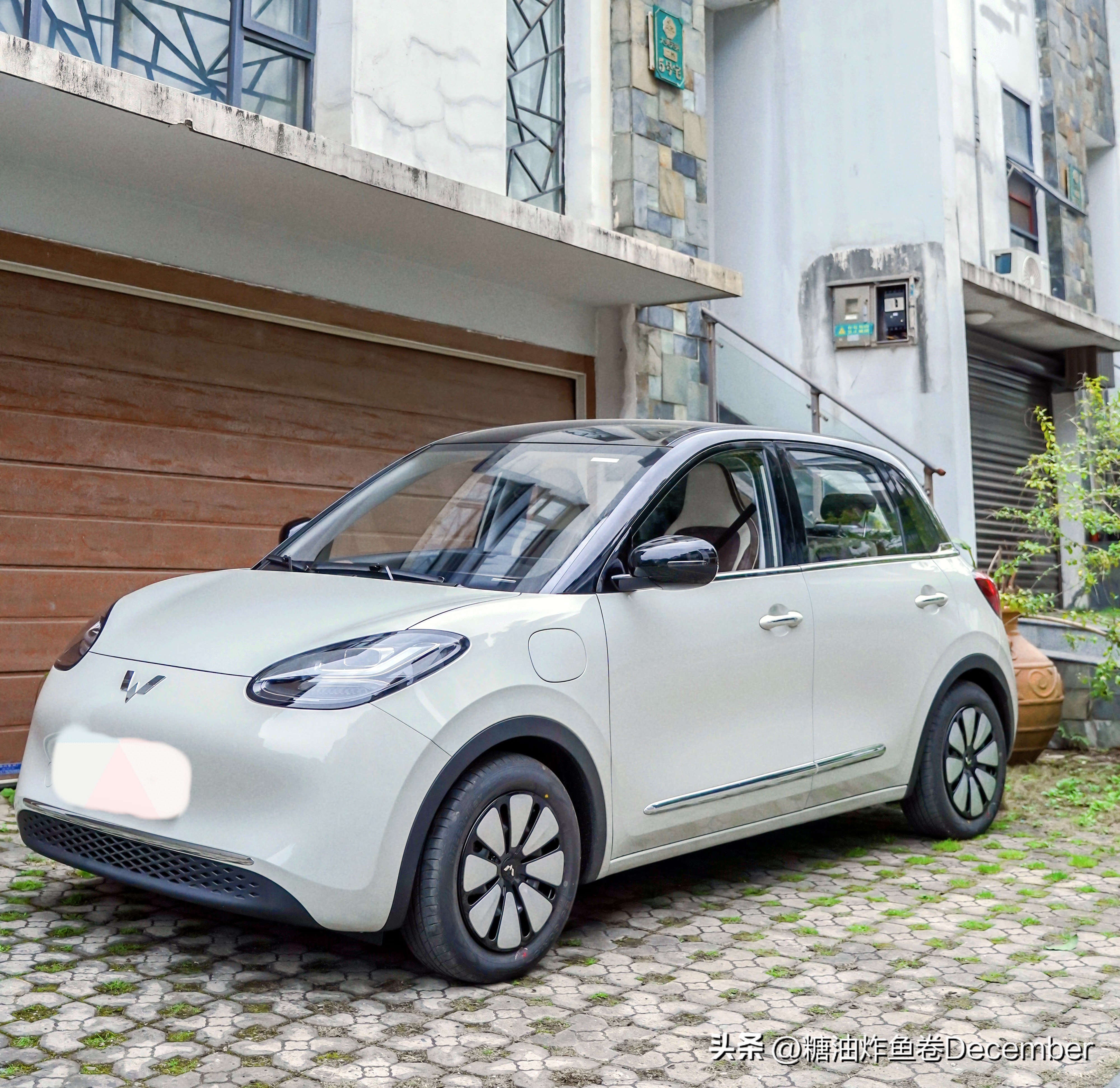 扶绥龙谷湾恐龙公园游玩攻略,扶绥龙谷湾恐龙公园在哪里