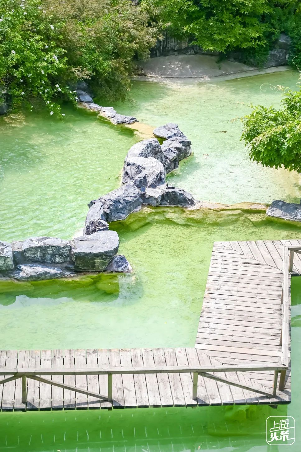 实用全上海532家公园攻略速速收藏,上海攻略必去的公园