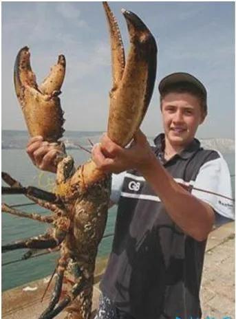 你不知道的国家冷知识伯利兹篇,伯利兹国家为什么那么小