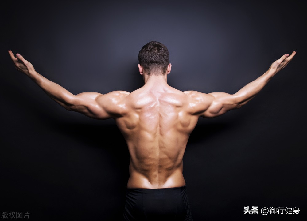 什么健身动作可以锻炼全身,锻炼肌肉的健身运动