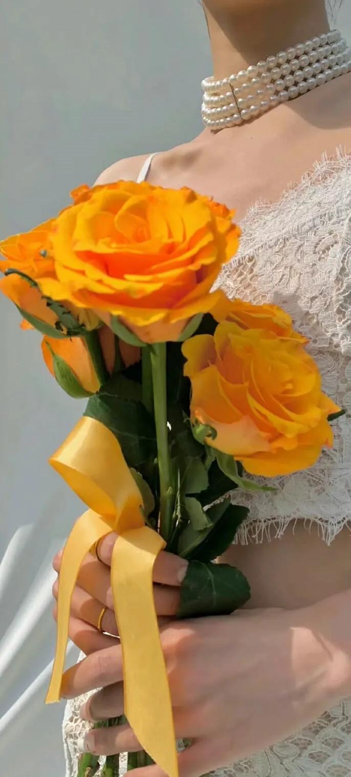 上班励志高清壁纸4k全屏电脑壁纸,黑鲨壁纸动态壁纸高清全屏90帧