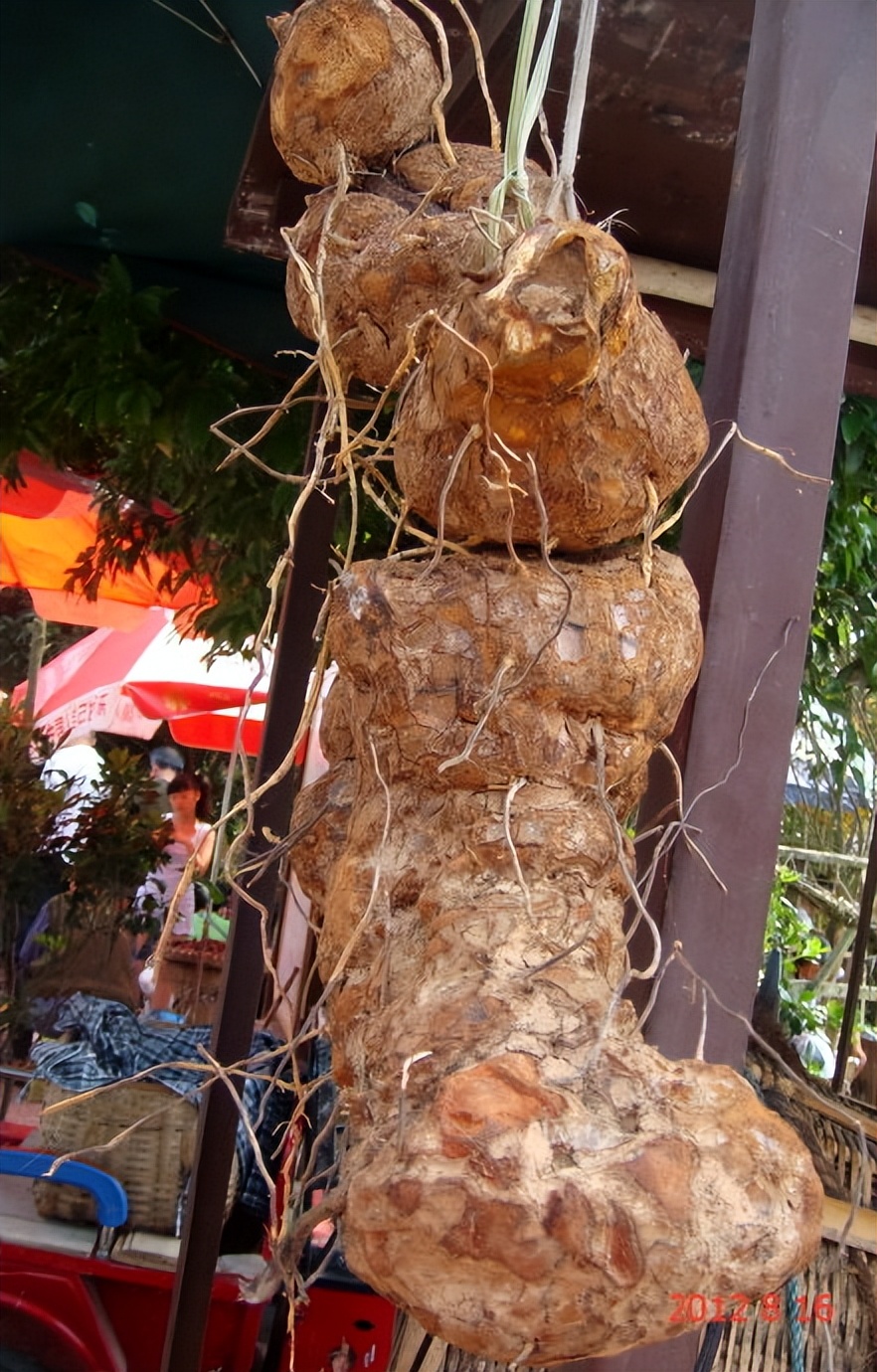 自驾游川藏:二、难舍上里古镇