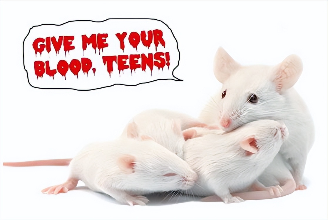 返老还童面霜骗局,换血抗衰老真的有用吗