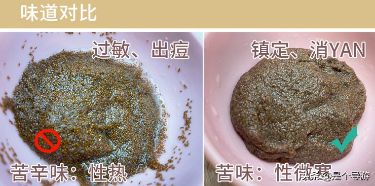 海藻面膜颗粒是海里生长的吗,海藻面膜是大海藻还是小海藻