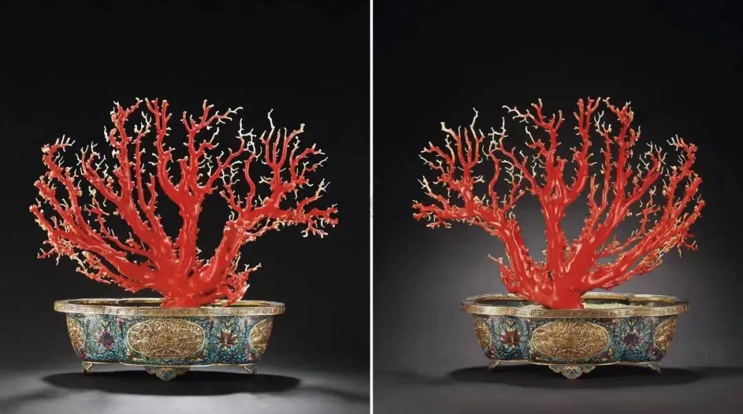 红珊瑚是深海中的千年灵物,深海精灵红珊瑚的万般风情